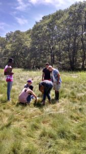 COSA students leading the Beach Sisters in marsh exploration