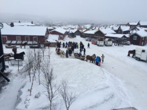 Horse-drawn sleighs at a market in Røros.