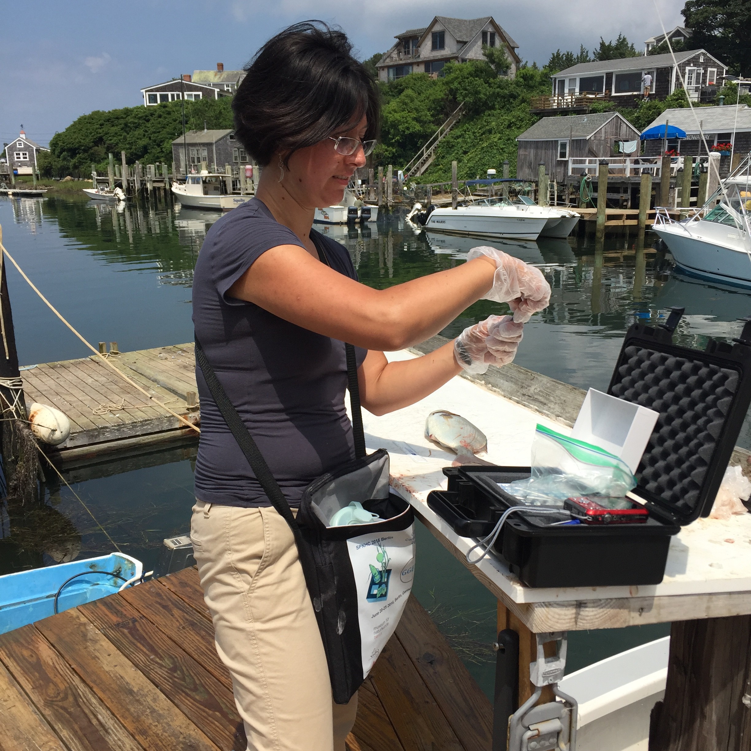 Charlotte Seid takes samples from local fish.