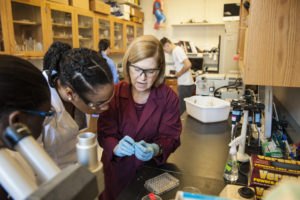 Professor Wendy Smith holds a specimen in a lab and explains something about it to two female students. The students and professor stand next to a lab bench with lab equipment and a microscope. Other students work on the experiment in the background,