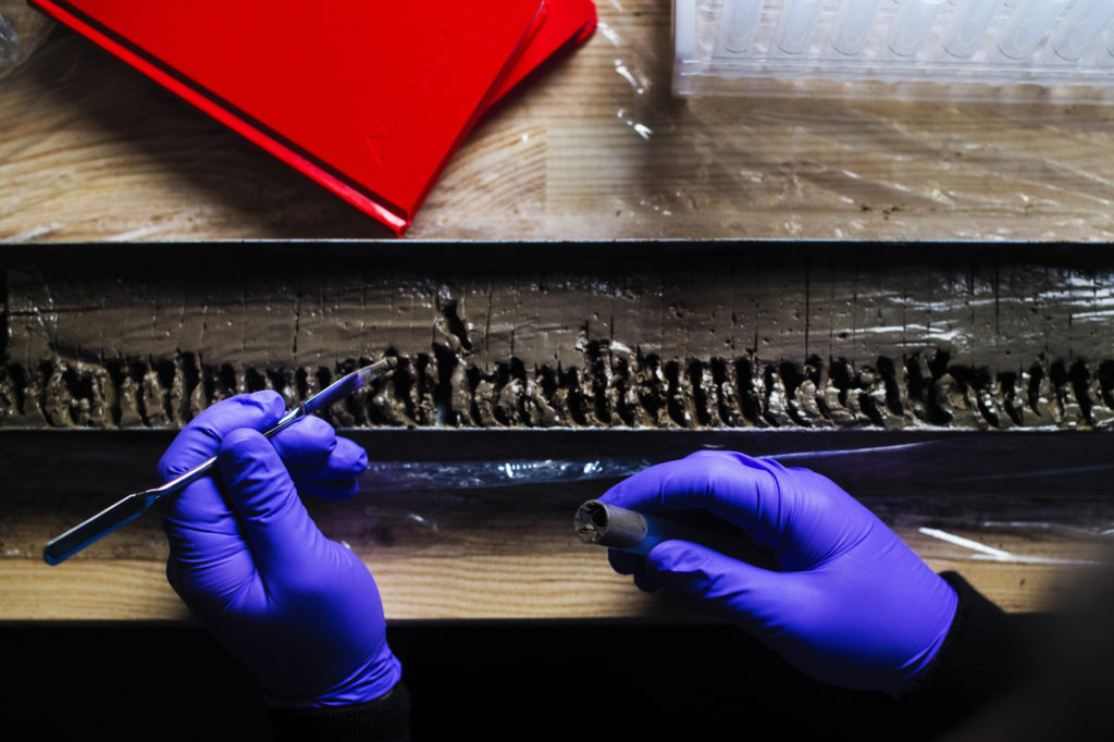 Two gloved hands, one holding a tool, work at a lab bench on a silt sample.