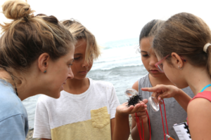 Workshop leaders take students to local seashores to sample seawater, measure waves, and search for plankton. Photo courtesy of Alexandra Doudera.
