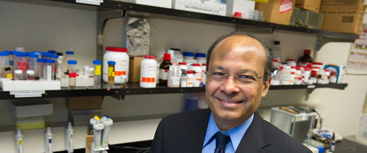 Human Disease And Salmon Farming Says Coauthor