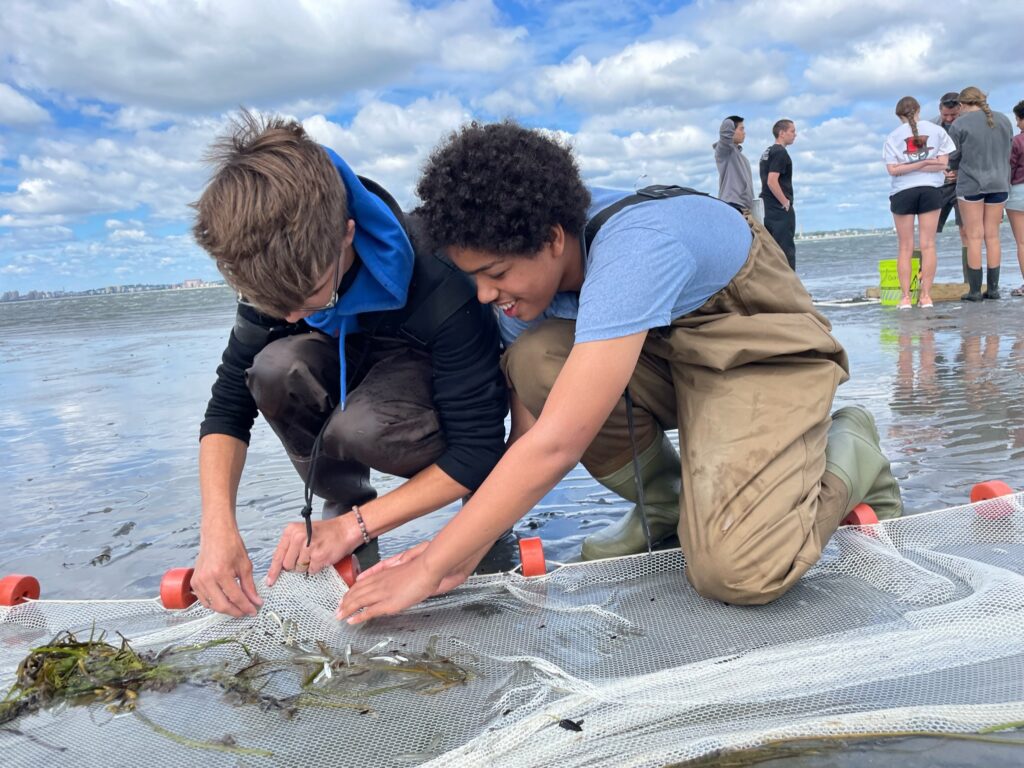 Two children excitedly investigating beach samples.