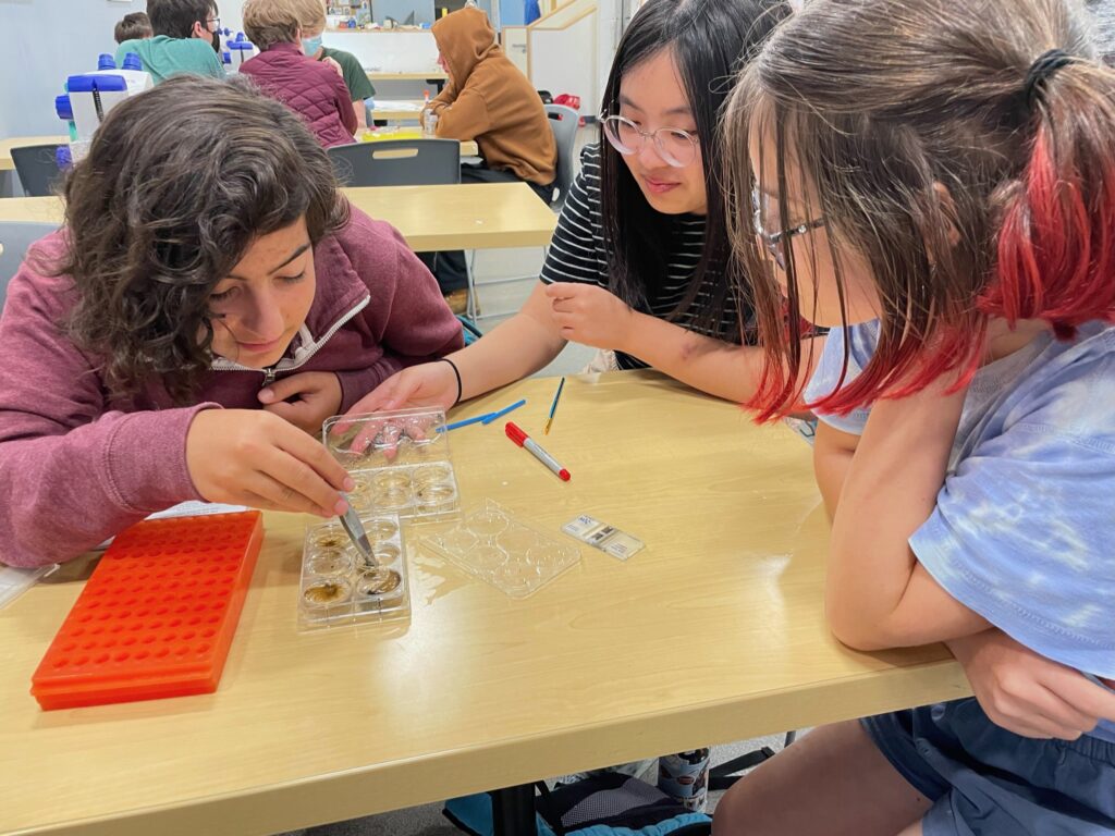 Three children examining pipettes on a table.