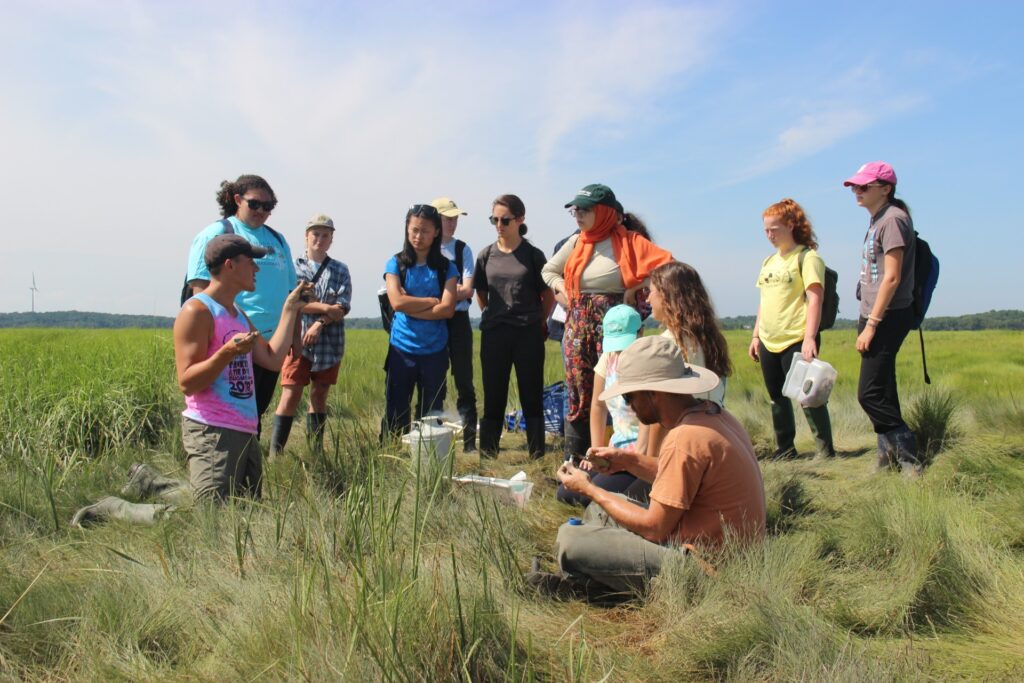 group of students in tall grass