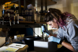 Laura Goetz S'18 Works works in professor William Detrich's lab at the Marine Science Center in Nahant