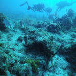 Coral Reef Ecology 4