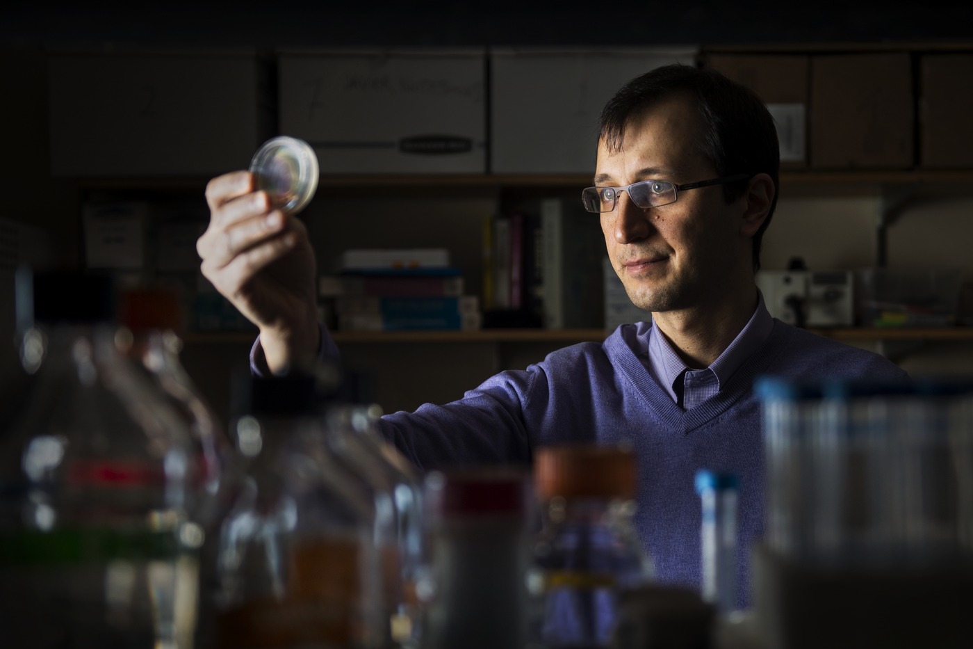 Assistant Professor Javier Apfeld examines his worm samples