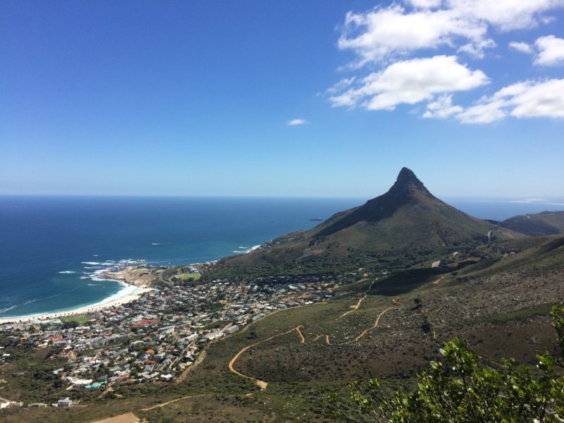 The view of Lion's Head from a hike up Table Mountain in South Africa.