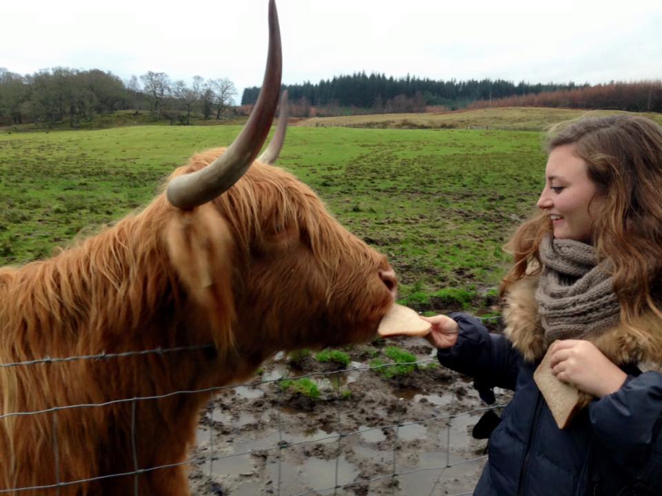 Meghan Davis, a BNS major, with a Scottish hair cow.