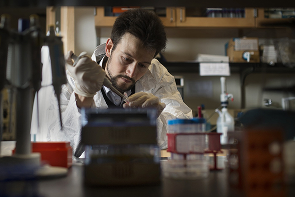 Bioengineering professor receives NIH ‘New Innovator Award’