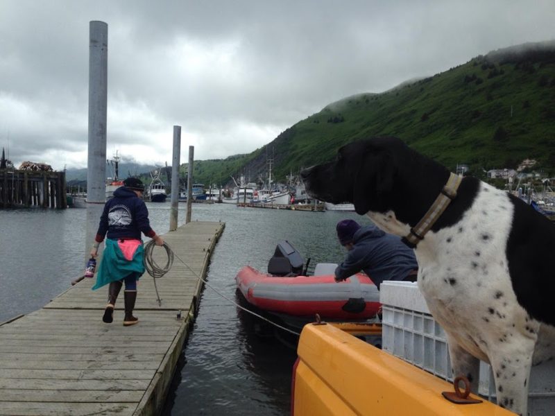 Kat O'Brien walks to her research vessel while a dog looks on with the bay in the background.