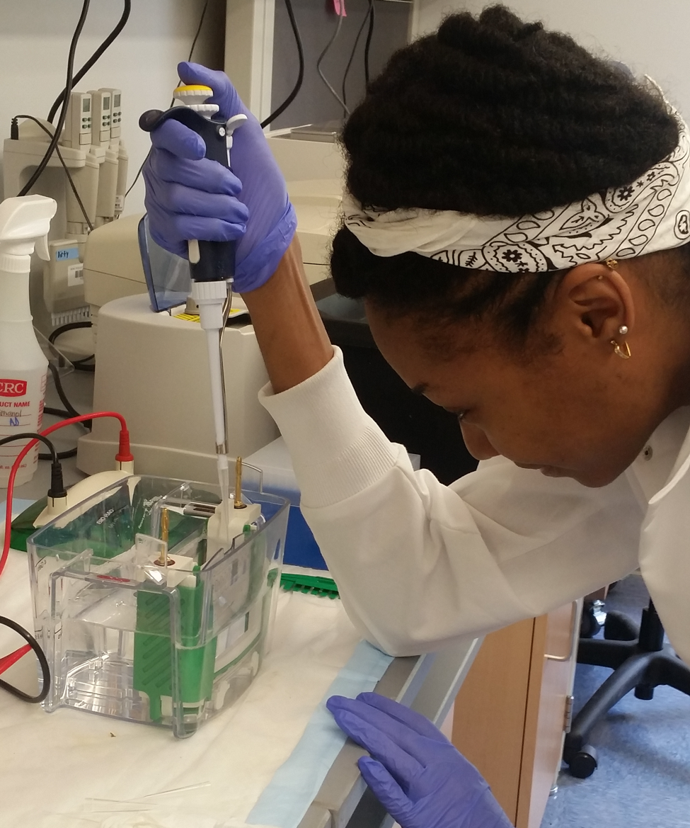 An REU student working in the lab