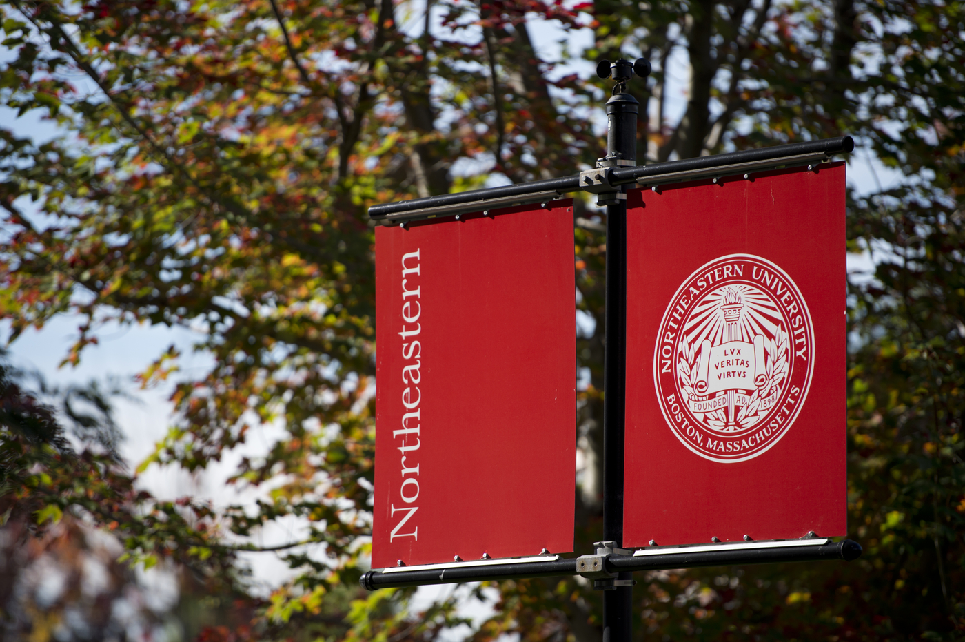 Campus in Fall