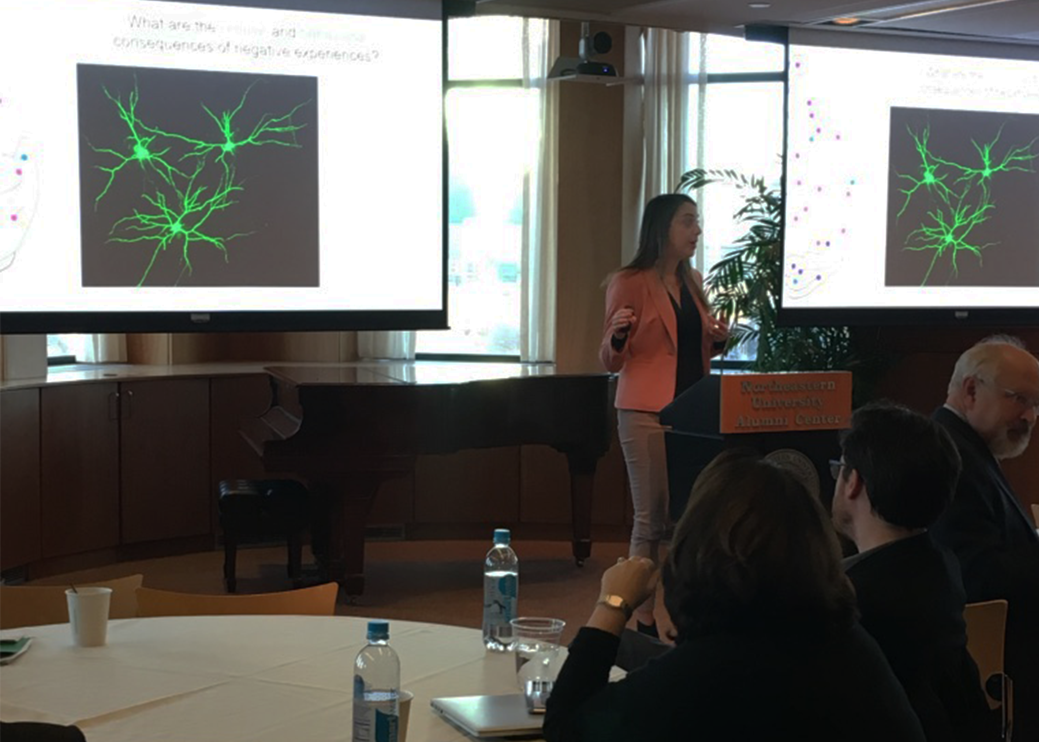 Rebecca Shansky presenting at the neuroscience talk.