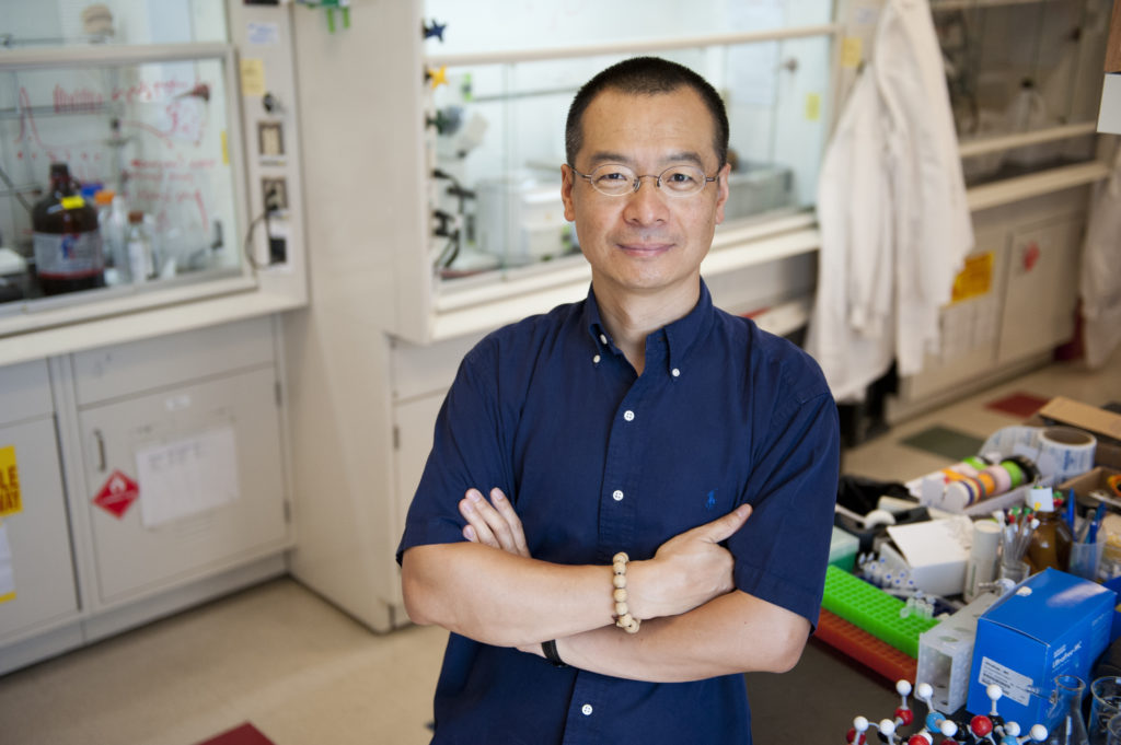 Professor Sunny Zhou earns CRI Spark Fund for research on protein ...