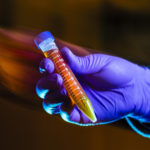 A gloved hand holds a test tube with red liquid in it.