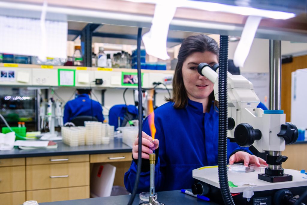 Biology professor Javier Apfeld awarded NSF CAREER grant for early ...