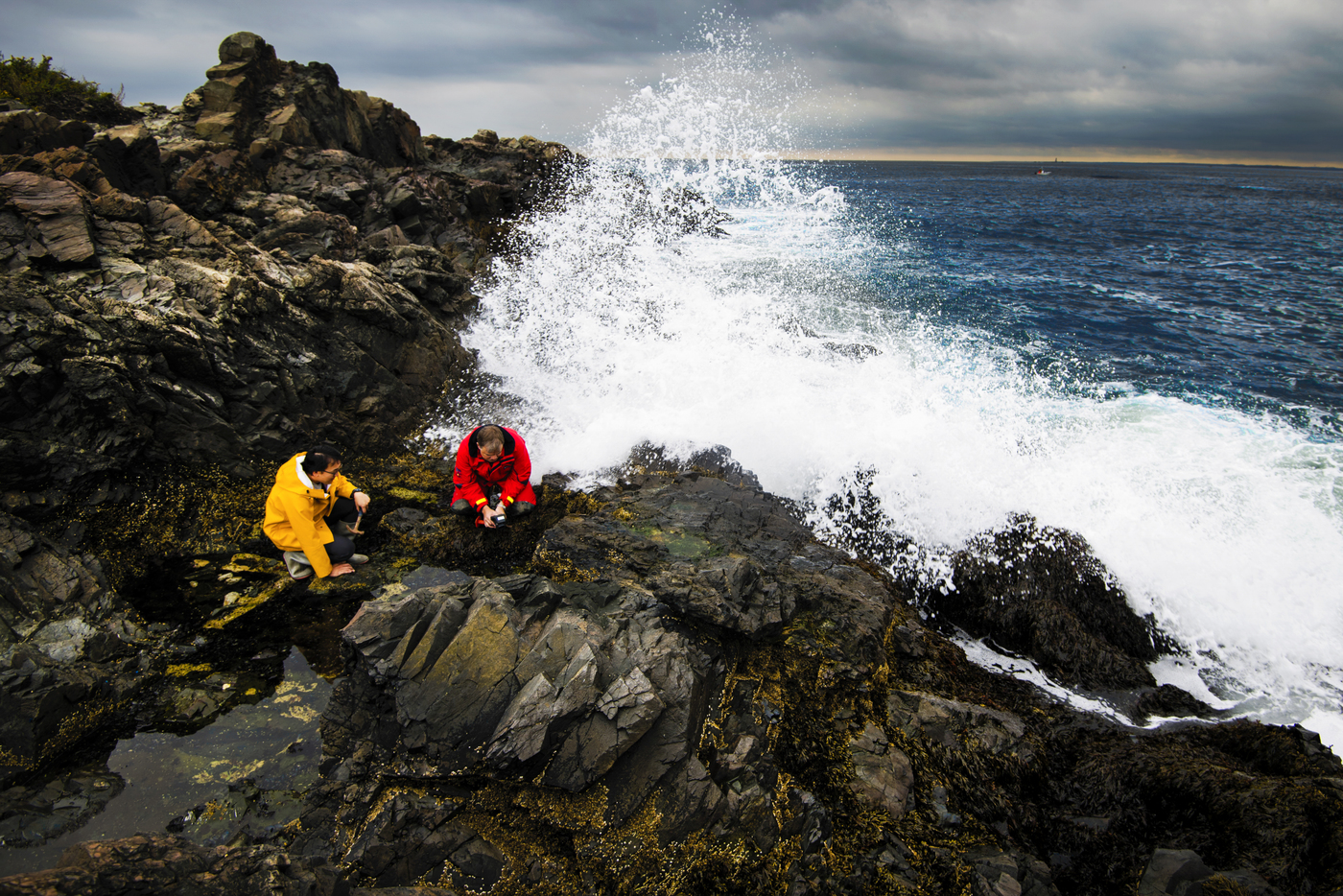 Photo of two researchers by the rocky shore of the Marine Science Center.