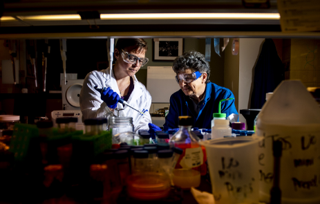 Beuning Ondrechen1400