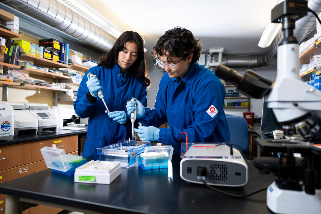 Marine And Environmental Sciences Northeastern University College Of