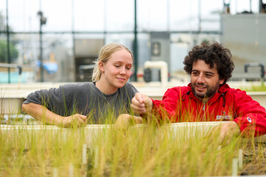 Building the good power of science - Northeastern University College of ...