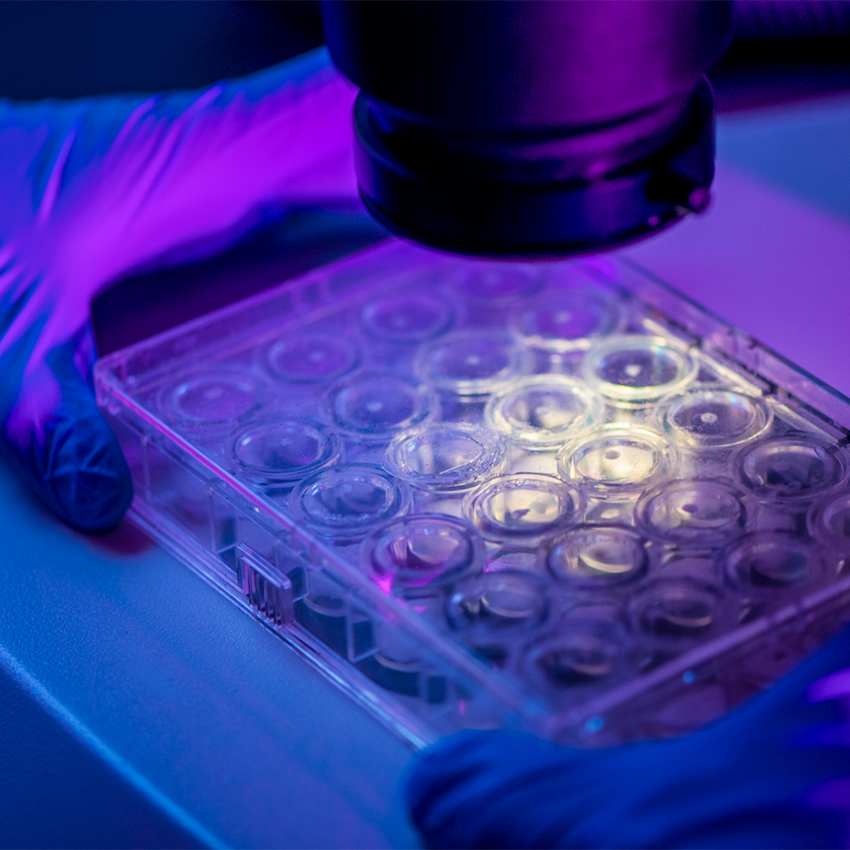A microscope aimed over a tray of samples
