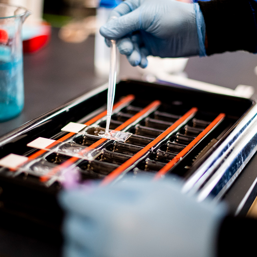 inside of lab, scientists conducting test