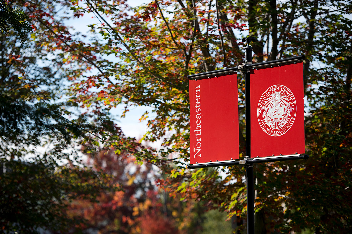 Campus Flag in Fall