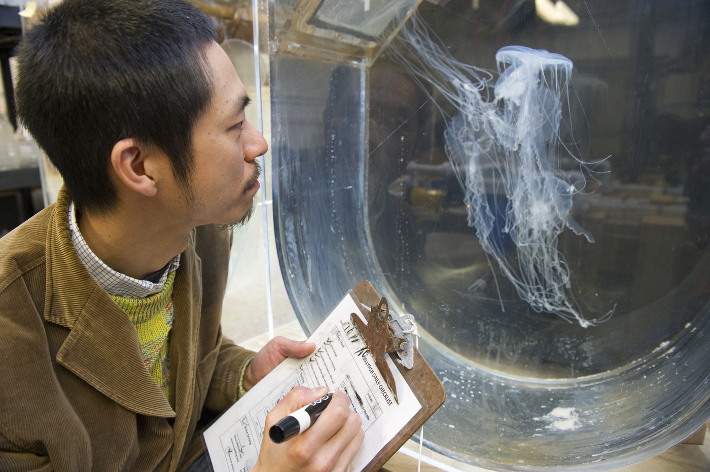 Chemistry Department Garners National Recognition - Northeastern University  College of Science