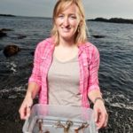 Lead author Dr. Marissa McMahan with the type of juvenile lobsters used in this study.