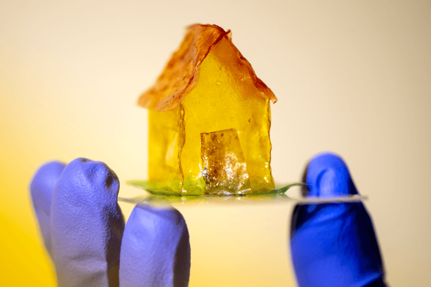 A house made out of a plastic-like material created by bacteria in Neel Joshi's lab. Photo by Ruby Wallau/Northeastern University