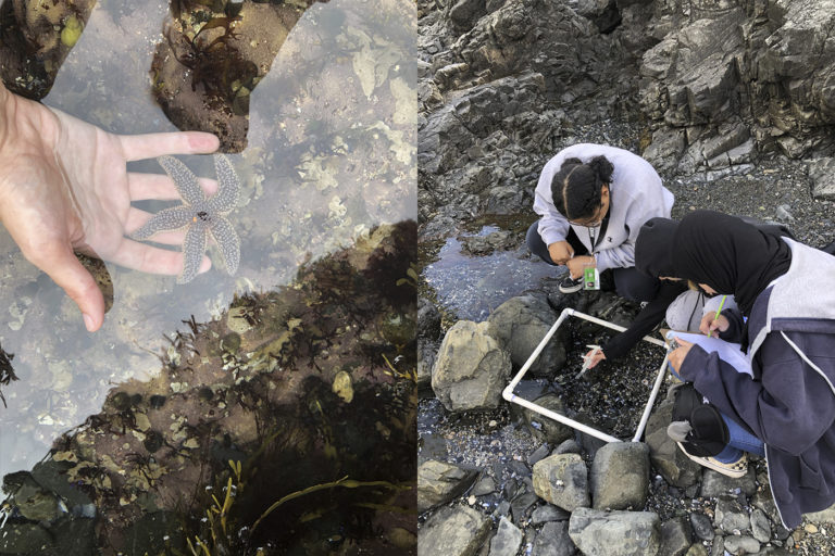 From “Eww” to “Whoa”: Reflections on our School to Sea Programs