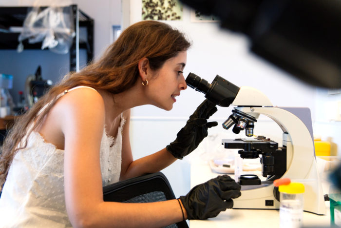 Andrea Unzueta-Martinez uses a microscope to observe Sydney rock oyster larvae.