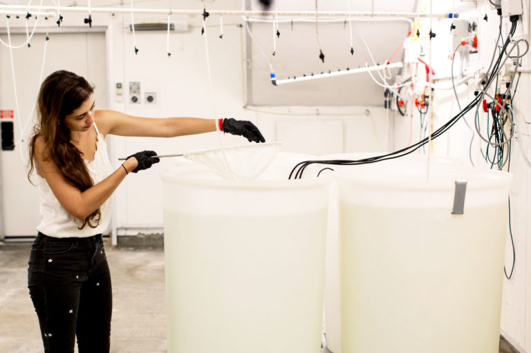 A 10,000-mile Journey for Microbes