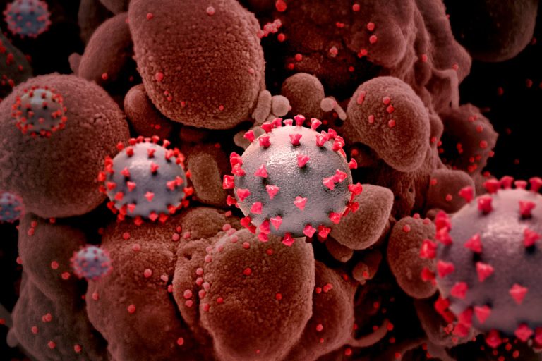 Scientists Still Don’t Have All the Answers about the Coronavirus–and That’s a Sign of Progress