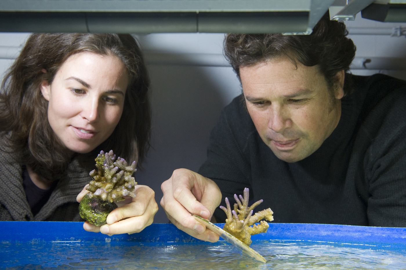 Marine Science Center