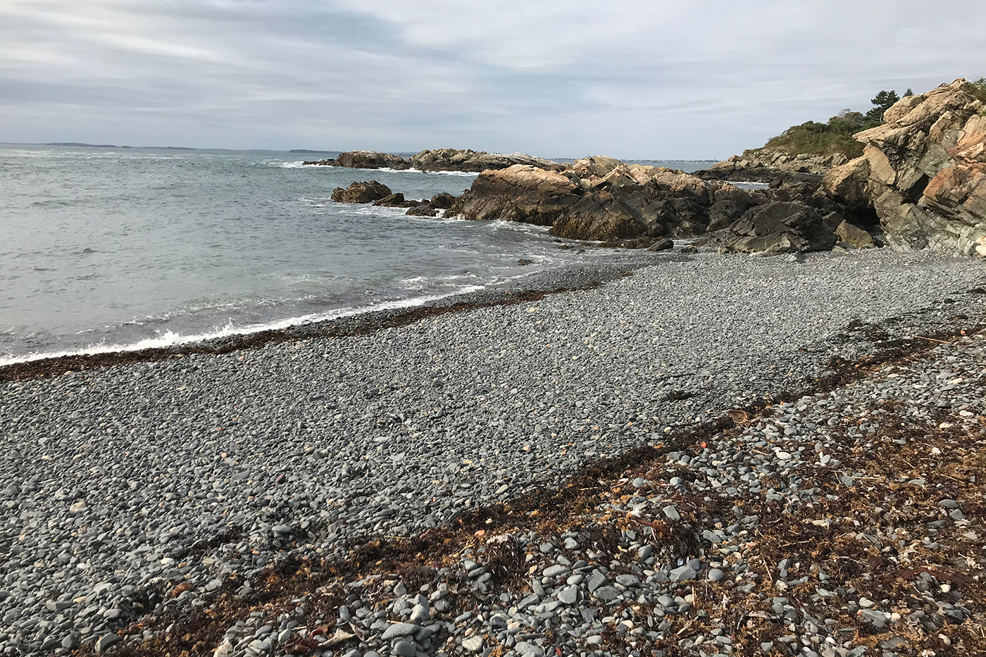MSCBeachProfile