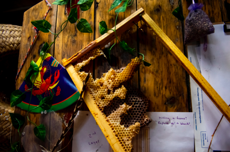 The not-so secret life of bees