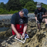 Brian Helmuth and lab technician Sahana Simonetti photographed conducting research on the shores of Northeastern's Nahant campus.