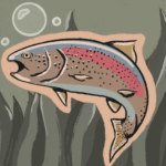 graphic of a salmon