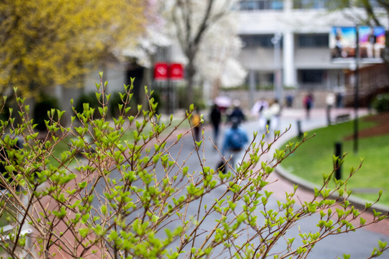 Advancing Women in Science 2022 Scholars