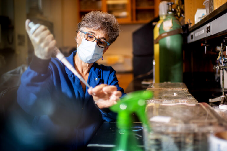 How termites deal with disease provides insights in the era of COVID-19