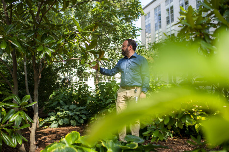 He cultivates the campus’s  ‘urban forest’ with an eye on the future.