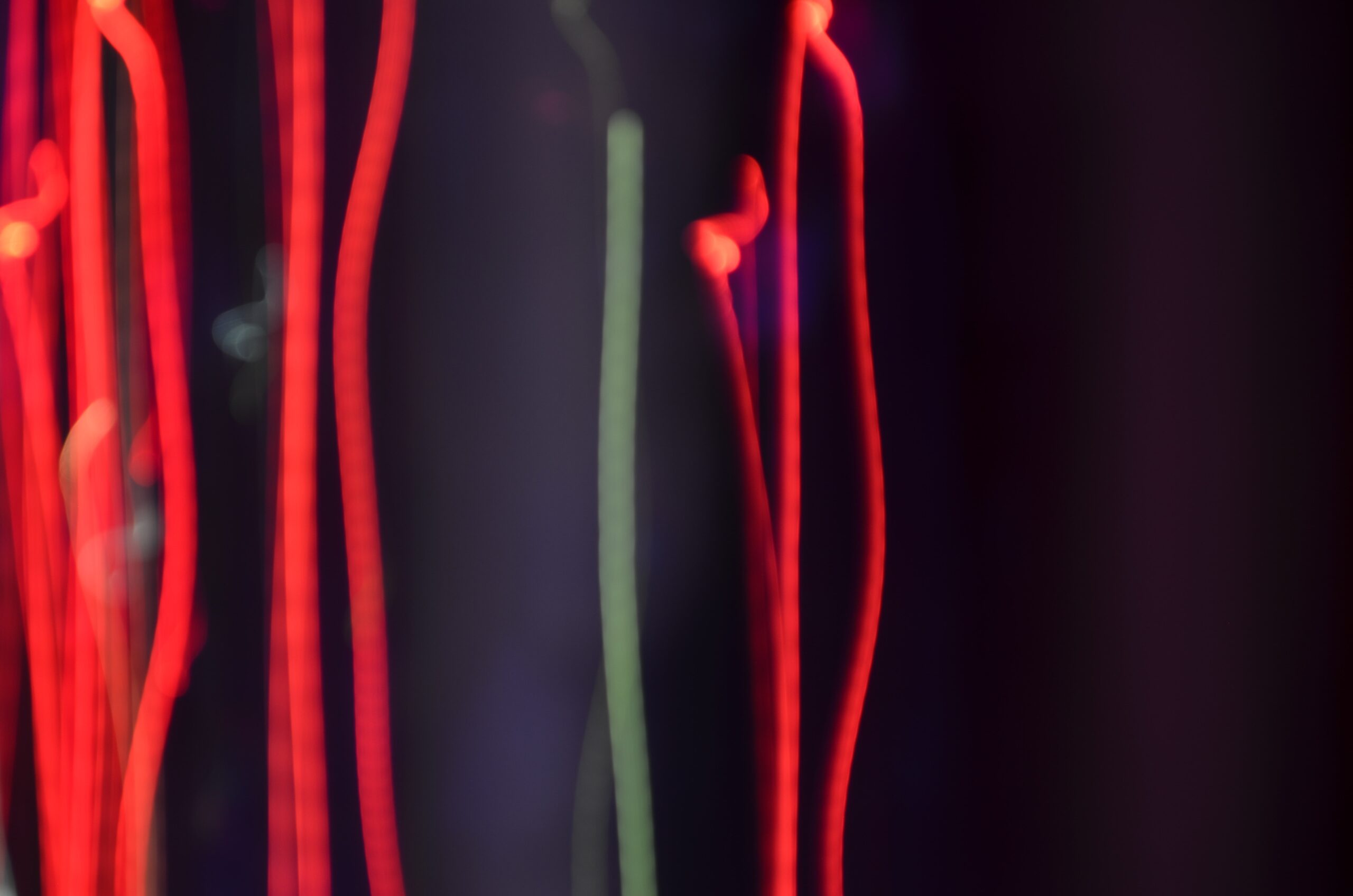 close up of red cells