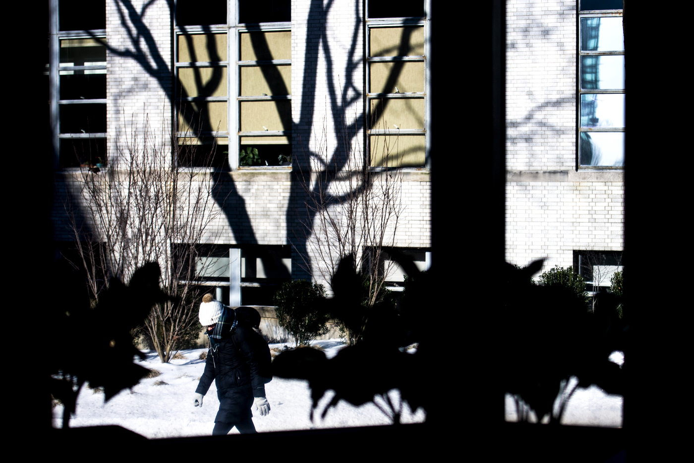 shadows of students walking on campus
