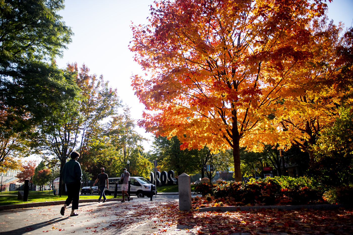 fall trees on campus