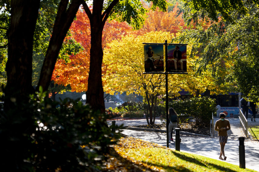 campus in the fall