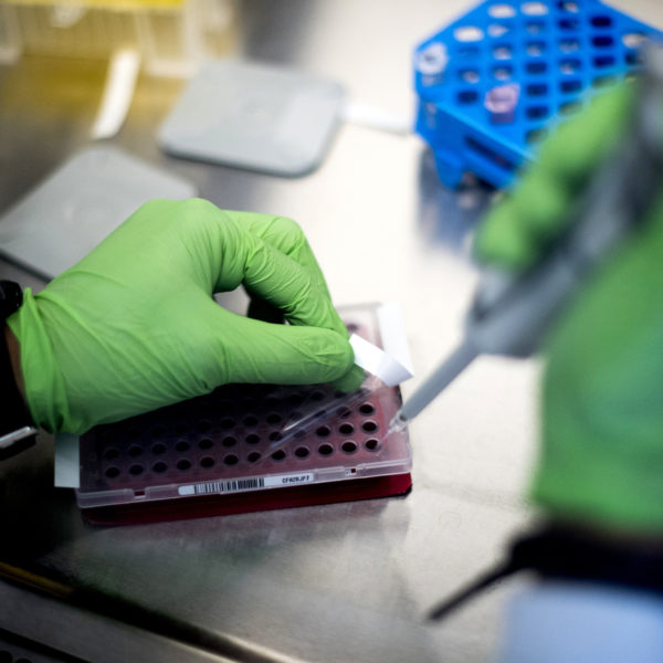 stock photo of test tubes in a lab